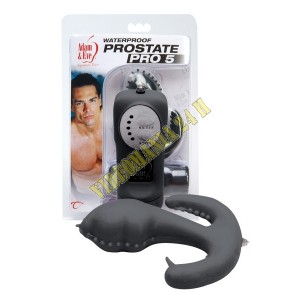 /267-342-thickbox/massaggiatore-di-prostata-con-vibrazione-waterproof-prostate-pro-5.jpg