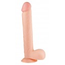 FALLO REALISTICO CON VENTOSA IN PVC 28 CM X 4.5 CM